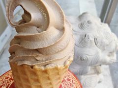 陈皮巧克力冰淇淋-天福号(前门店)