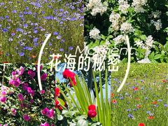 -嘉北郊野公园