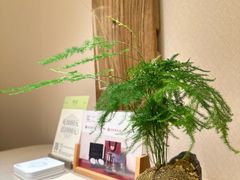 -隐溪茶馆(静安寺店)