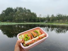 -东郊湿地公园