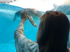 -大连圣亚海洋世界