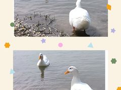 -南海子公园