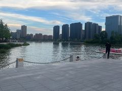 -金沙湖公园