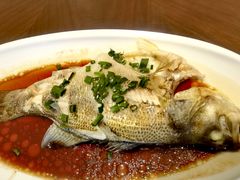 -泰康之家·申园