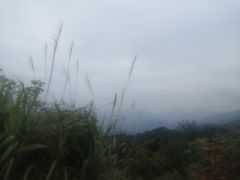 -罗田天堂寨风景区