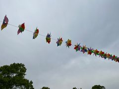 -南山植物园
