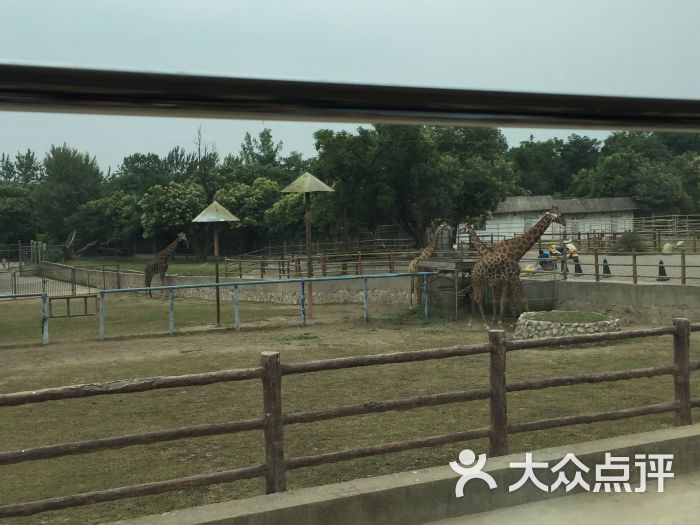 西安秦嶺野生動物園圖片 - 第5張