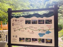 -少华山国家森林公园