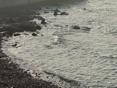 -燕儿岛山公园