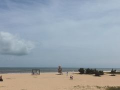-日照海滨国家森林公园