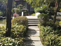 -大亚湾红树林城市湿地公园