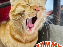 -老丘丘(较场口店)