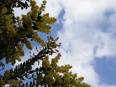 -广州市流溪河国家森林公园