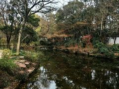 -秋霞圃
