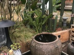 -悦哉·派对·草坪婚礼·围炉煮茶(三圣乡店)