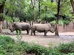 -北京野生动物园