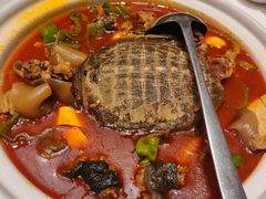 -艳阳天(万达广场红标店)