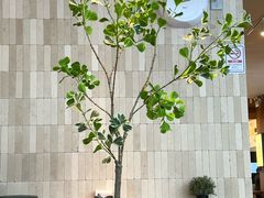 -六六·抹茶66’s SALDessert(保利时光里店)