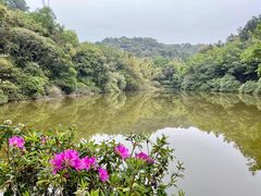 -西樵山风景名胜区-天湖公园