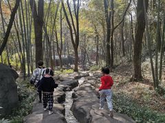 -石燕湖生态旅游景区