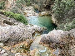 -南海湾森林生态园