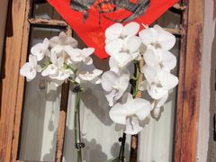 -茶肆(仙林店)