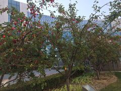 -北京园博大酒店