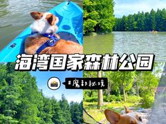 -上海海湾国家森林公园