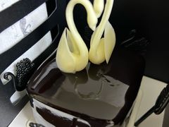 -BLACKSWAN黑天鹅(环球店)