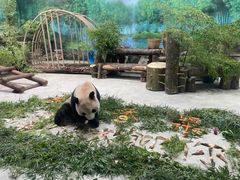 -杭州动物园