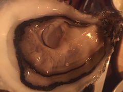 -斯普汇生蚝牛排馆(中骏世界城店)
