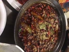 麻辣馋嘴蛙-茅庐毛血旺(烟台大悦城店)