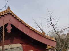 -元大都城垣遗址公园