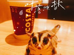 -COSTA COFFEE(新奥购物中心店)