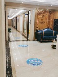 -碧莲盛·不剃发植发