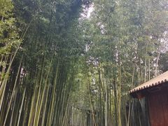-梅园
