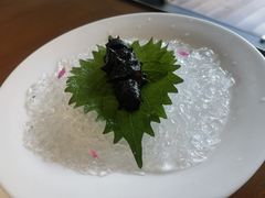 -觀芷隐轩