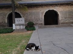 -灵谷景区