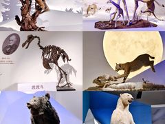-中国国家博物馆