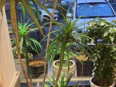 -有位虾匠·香辣蟹·小龙虾(李村店)