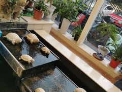 -美林大浴场(奥体中心店)