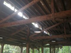 -盘龙城国家考古遗址公园