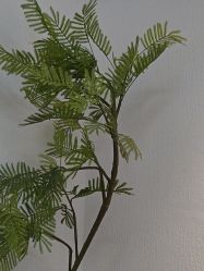 -小梨·OndaPro·专业脱毛连锁机构