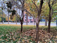 -中国政法大学(昌平校区)