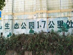 -长虫山生态公园风景林