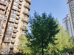 -北京亚运村国家会议中心亚朵酒店