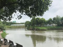 -金稼园·金平湖农家菜