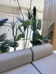 -沈阳名流美容医院