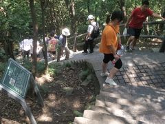 -紫金山山顶公园