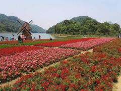-广州市石门国家森林公园
